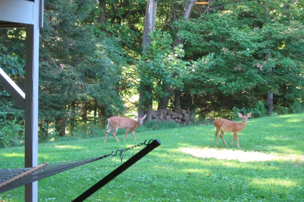 ../image/joan's reunion,nj,vermont 9,2005 043.jpg